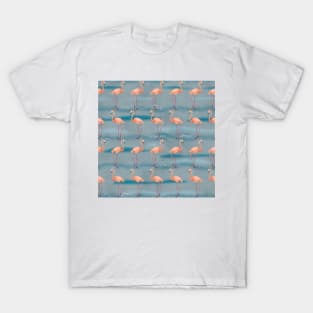 The Flamingo Dance 2 blue T-Shirt